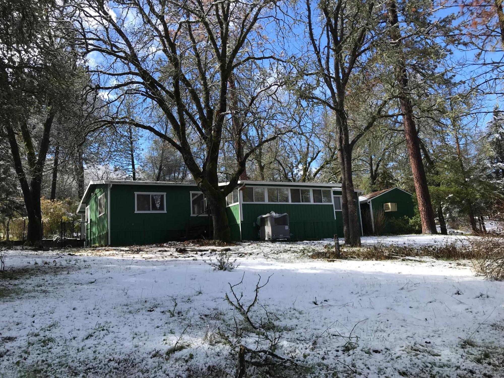Green Cabin In Midpines Bagian luar foto